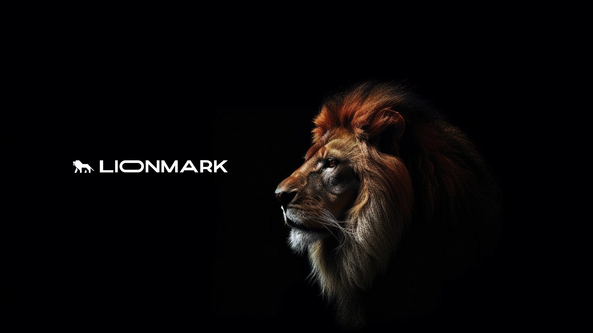 marca-design-lionmark-brusque-sc